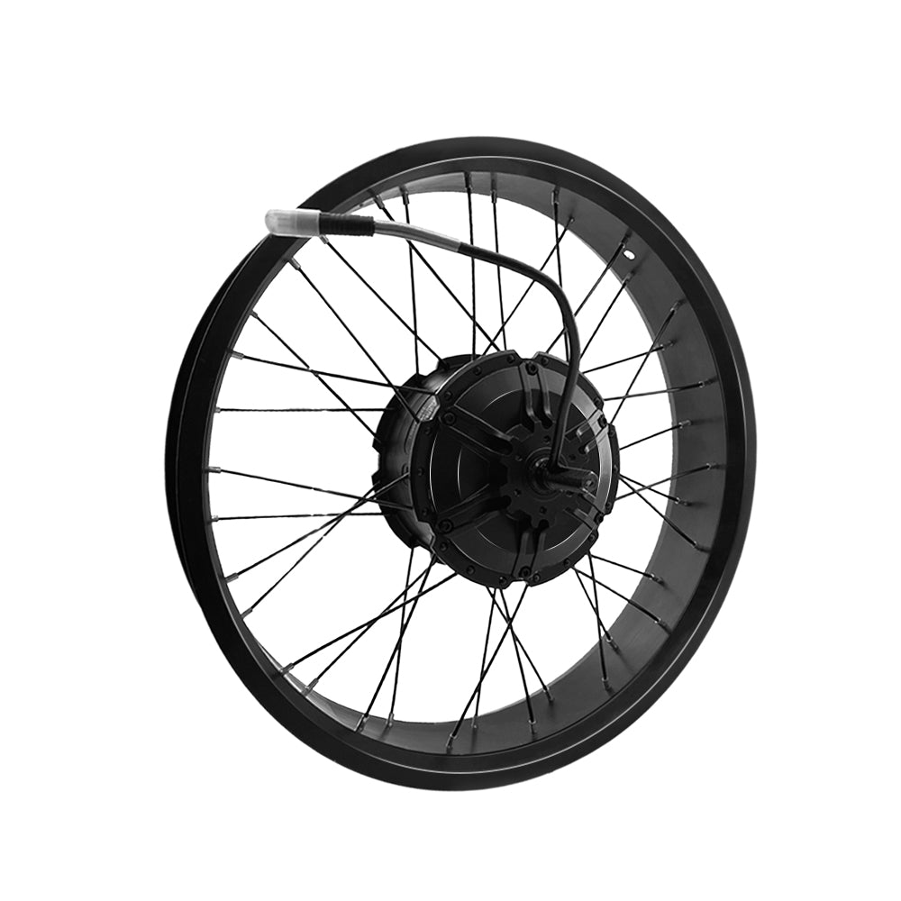 Moteur de roue arrière - Séries W1 et W3
