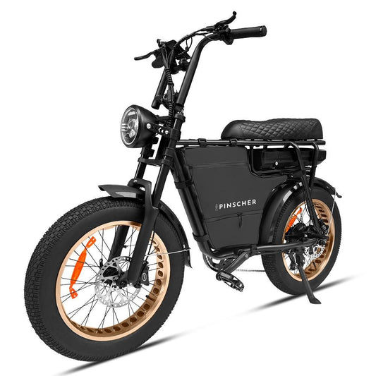 Pinscher bicycle bag - also suitable for the EB2 fat bike